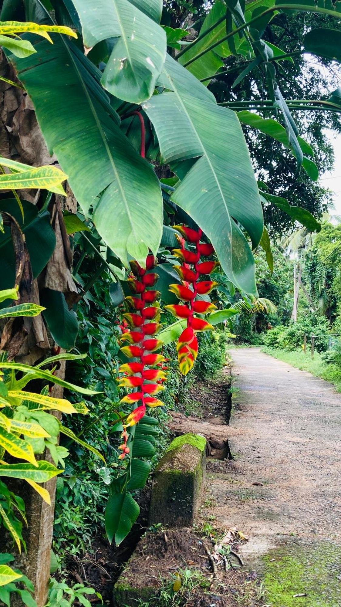 Dosemo Cabana Induruwa Esterno foto
